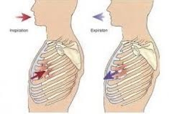 Chấn thương ngực kín và các thể bệnh thường gặp (Dành cho sinh viên Y4)